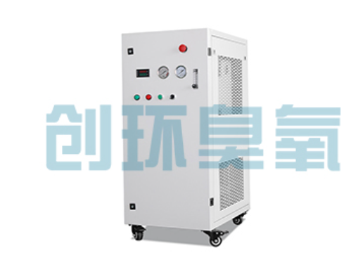 遂宁石斑鱼养殖水质调控完整指南：臭氧发生器配置与操作步骤